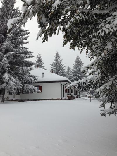 Chalet dell'Orso