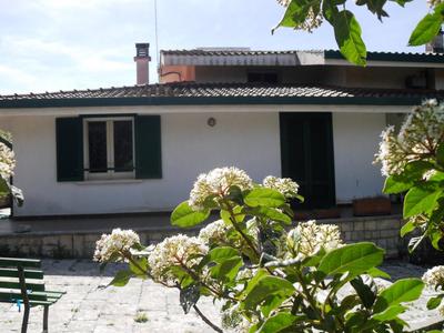 i gù books & rooms
