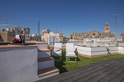 Ohliving San Gregorio