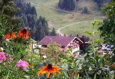 Apartmenthaus Kristall - inclusive Wasserwelt Wagrain mit Sauna