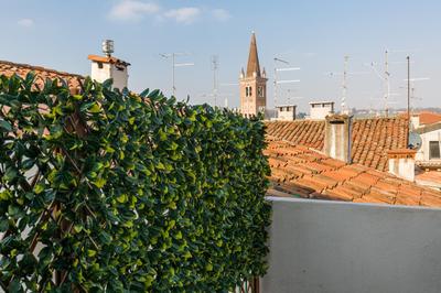 Panoramic Roof Apartment