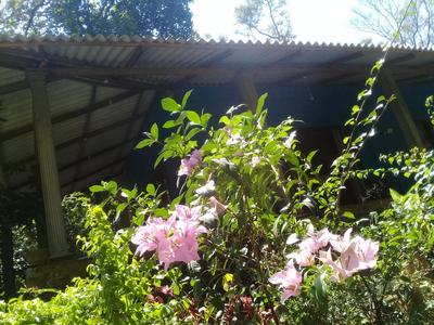 Dambulla Sun Vsh Holiday