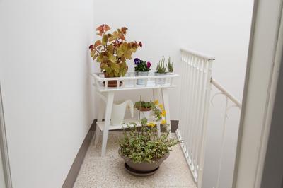 Tocco Barocco - Locazioni Brevi -