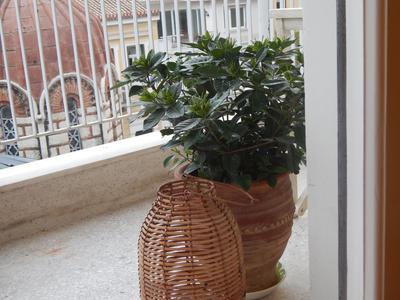 Athens-Plaka, Peter’s beautiful apartment in Temple of Zeus