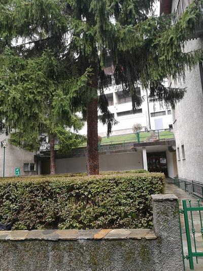 In centro , ma a due passi dal bosco