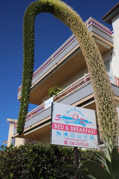 B&B Spiaggia di Ponente