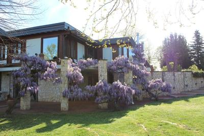 B&B Villa Sbaraglia
