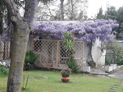Chez nous