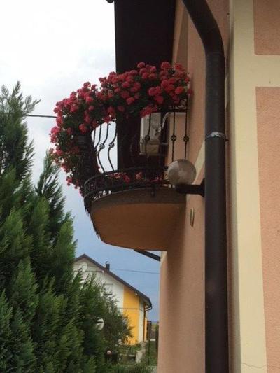 Apartman Hubertus 5*