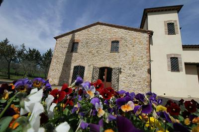 Il Podere San Giuseppe