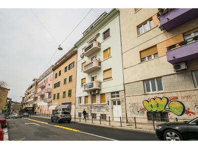 Apartment Liatris