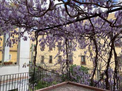 Appartamento Il Glicine