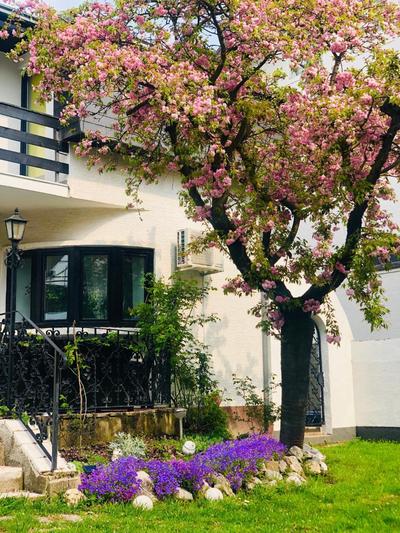 Pilot's Manor - Airport Villa