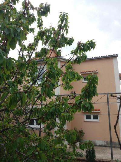 LANELU apartman