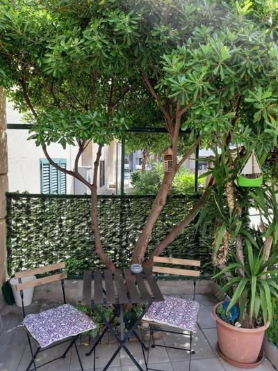 Apartment Mediterraneo