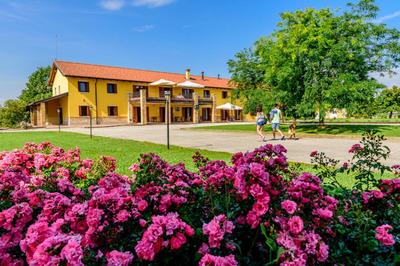 Agriturismo Tenuta Regina - Glamping luxury lodges and apartments