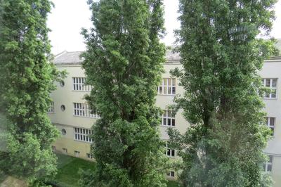 White Zagreb
