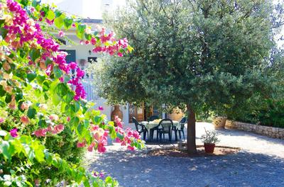 Piccola Oasi San Nicola