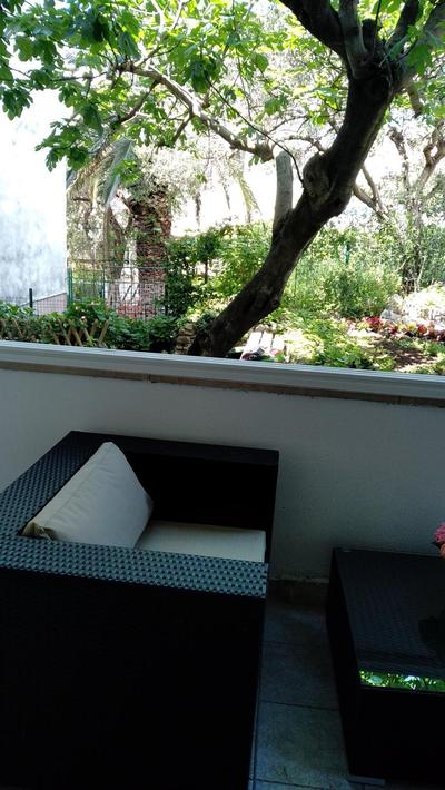 Apartman Robertino 1966