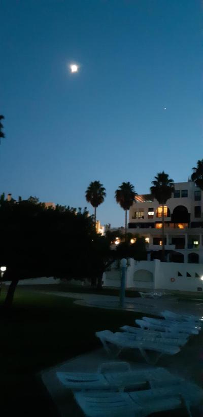 Jeannie's Oura Estrela