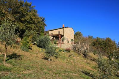Podere Piandicava