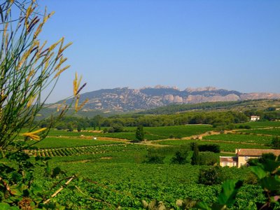 La Dentellière