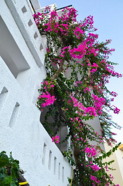 Iro Hotel
