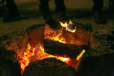 Hotel Buenavista Bacalar Jungle Experience