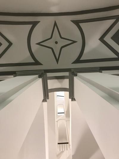 Rapanus Suites