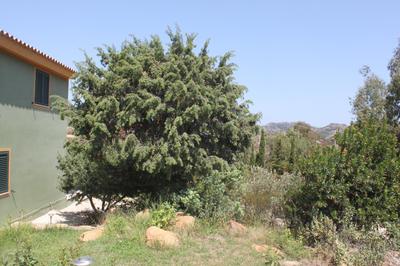 Villa Vera