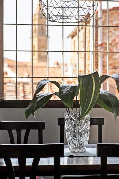 Very Special+Views in Front of Pitti Palace&Garden