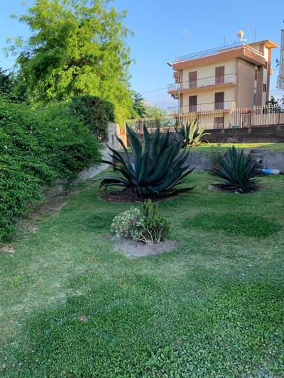 B&B Domus Vettii