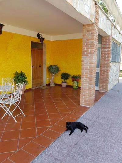 B&B La Coccinella