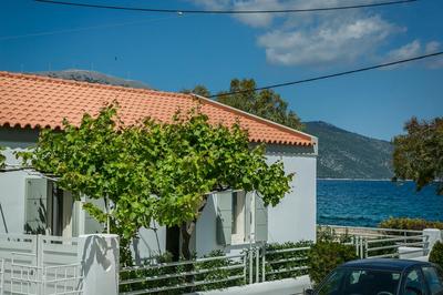 Olvio Living by the Sea