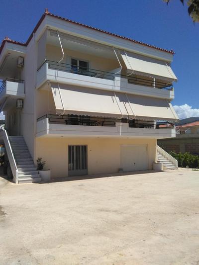 Fofi's House