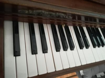 The Piano Apartment