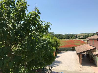 Tra i Campi Di Papaveri