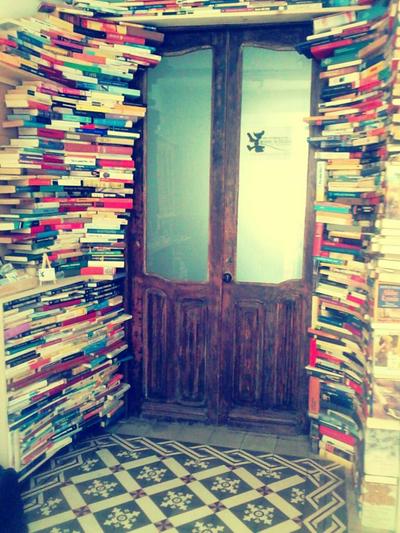 Ratones de Biblioteca
