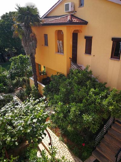 Apartment Dalmatini