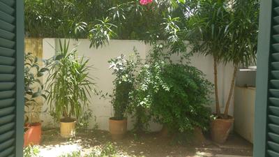 Renovated Studio with garden in heart of Athens