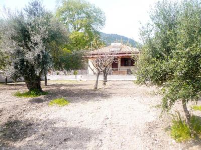 Lefkada Family friendly house with parking ,yard