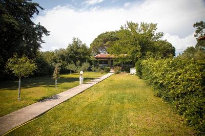 Estate Irene