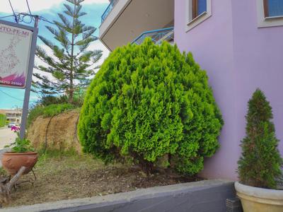 Colourful apartments (Green Lagoon)