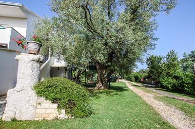 Apartments Vuceric