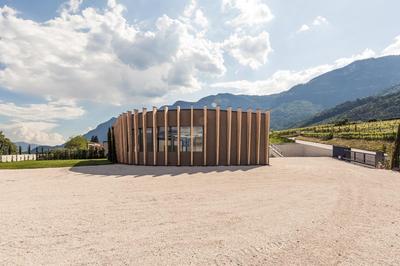 Weingut Moser Apartments