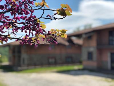 Hotel Pietrapanna