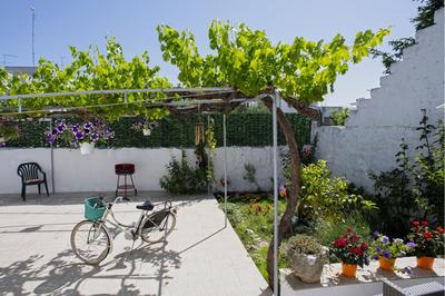Il Segnalibro B&B