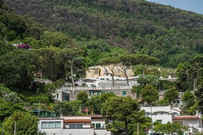 Ischia Dream Visions