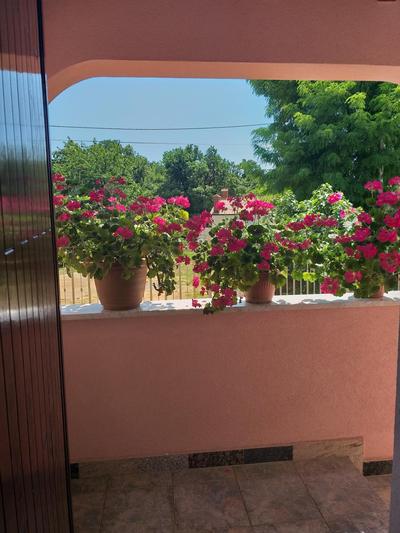 Castua-apartment with private heated pool