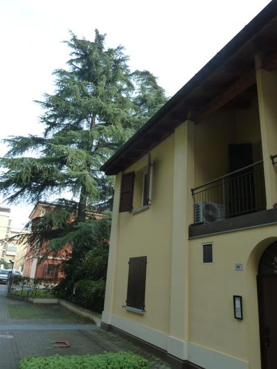 LA STANZA SUI CEDRI - Smart working - Airport - Private Parking - Ducati - Philip Morris